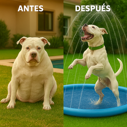 AquaSplash™ La alfombra aspersora que mantiene a tu perro fresco, feliz y protegido del calor… sin esfuerzo. (ENVÍO GRATUITO a toda España)