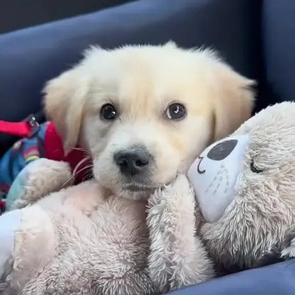 Plush Corazón Real™ - El primer peluche que elimina la ansiedad de tu perro