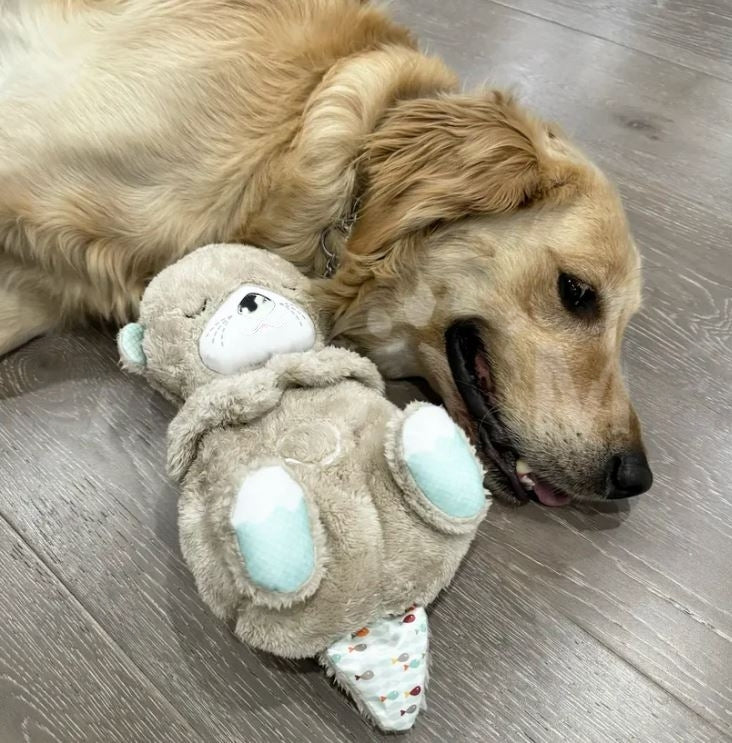 Plush Corazón Real™ - El primer peluche que elimina la ansiedad de tu perro